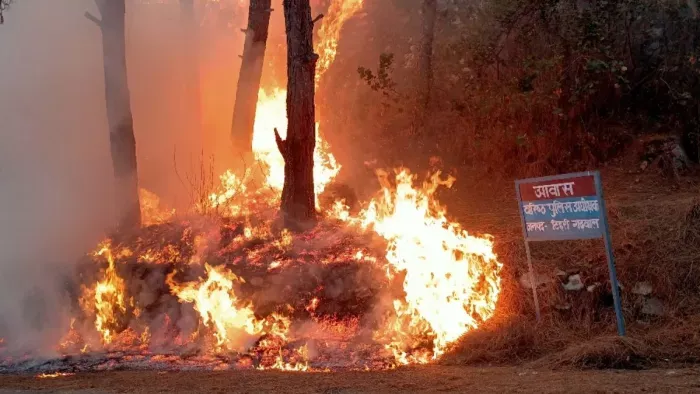 Uttarakhand : जब DM-SSP आवास तक पहुंची आग तो मच गया हड़कंप, आनन-फानन में पहुंचे अधिकारी फिर...