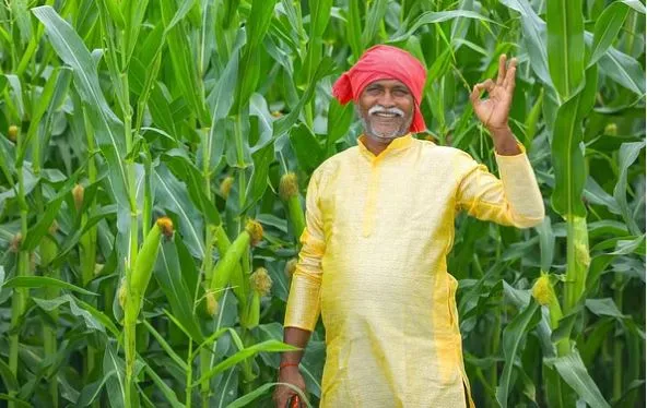 PM Kisan Yojana: इस दिन आ सकती है 19वीं किस्त, जानिए किन किसानों को मिलेगा लाभ और किन्हें नहीं?