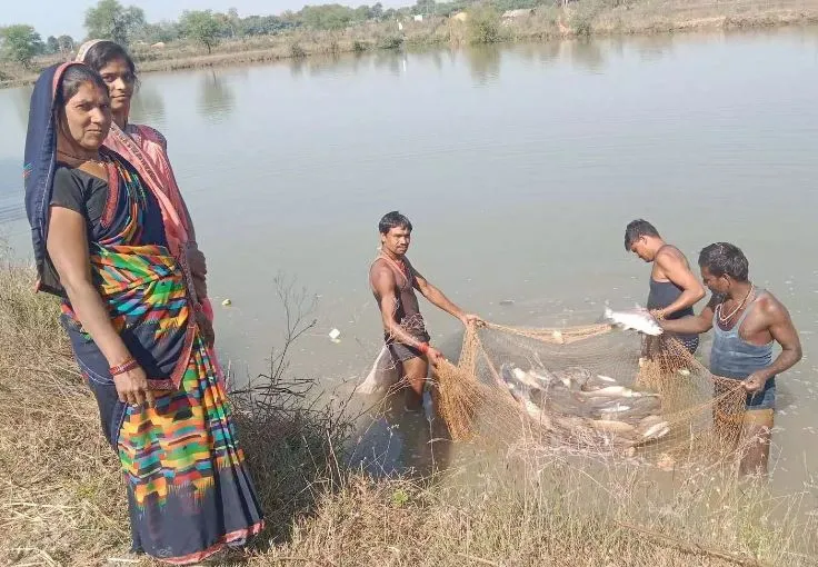 सखी सहेली समूह ने मछली पालन से बदली जिंदगी, महिलाओं की आर्थिक सशक्तिकरण की मिसाल  