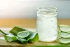 त्वचा के लिए Aloe Vera Benefits,  जेल इस्तेमाल करने के फायदे