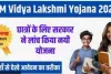 PM Vidya Lakshmi Education Loan Yojana – सरकार दे रही छात्रों को 6.5 लाख रूपये तक का लोन, ऐसे करे आवेदन