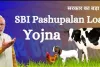 SBI Pashupalan Loan Kaise Le : एसबीआई पशुपालन लोन कितना मिलता है ब्याज दर और डाक्यूमेंट्स 