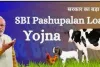 SBI Pashupalan Loan Yojana 2025 – पशुपालन के लिए किसानों को मिलेगा 10 लाख रूपये तक का लोन, ऐसे करे आवेदन