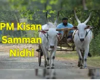 PM Kisan Nidhi 19th Installment, Eligibility, Benefits, Apply Online