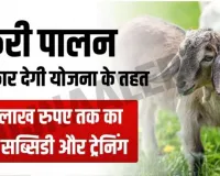 Bakri Palan Loan Yojana : बकरी पालन योजना के तहत मिल रहा 50 लाख रुपए तक का लोन, जानें कैसे करें आवेदन