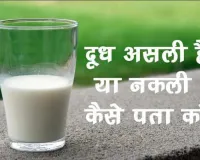 असली दूध की पहचान कैसे करें Nakli Doodh Ki Pahchan 7 तरीके