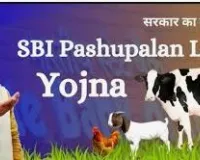 SBI Pashupalan Loan Yojana 2025 – पशुपालन के लिए किसानों को मिलेगा 10 लाख रूपये तक का लोन, ऐसे करे आवेदन