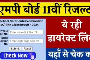 MP Board 11th Sarkari Result: एमपी बोर्ड कक्षा 11वीं का रिजल्ट जारी, यहाँ से चेक करें