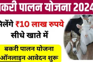 Goat Farming Loan Subsidy 2024: बकरी पालन के लिए सरकार