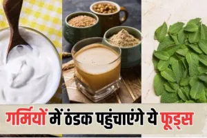 Summer Foods: गर्मियों से लड़ाई में मददगार होंगे ये फूड आइटम्स, अपनी रसोई में जरूर करें , शामिल