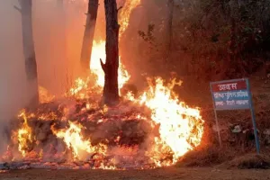 Uttarakhand : जब DM-SSP आवास तक पहुंची आग तो मच गया हड़कंप, आनन-फानन में पहुंचे अधिकारी फिर...