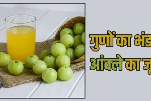 Amla Juice Benefits: कई बीमारियां और समस्याएं रहेंगी कोसों दूर, अगर रोजाना खाली पेट पिएंगे आंवले का जूस