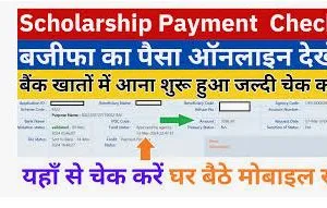 Scholarship Payment Check 2024:  छात्रवृत्ति का पैसा चेक कैसे करें