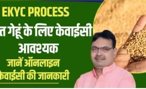 Ration Card Ekyc Rajasthan: खाद्य सुरक्षा ई केवाईसी कैसे करें, यहां से जाने आसान तरीका