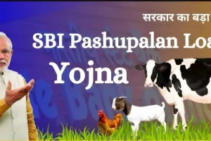 SBI Pashupalan Loan Kaise Le : एसबीआई पशुपालन लोन कितना मिलता है ब्याज दर और डाक्यूमेंट्स 