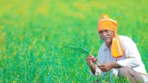 PM Kisan