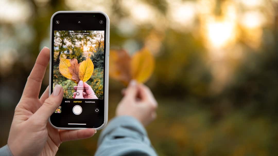 11f7d4575c7dd4cc607db57dd11cf66017775257577671164 original