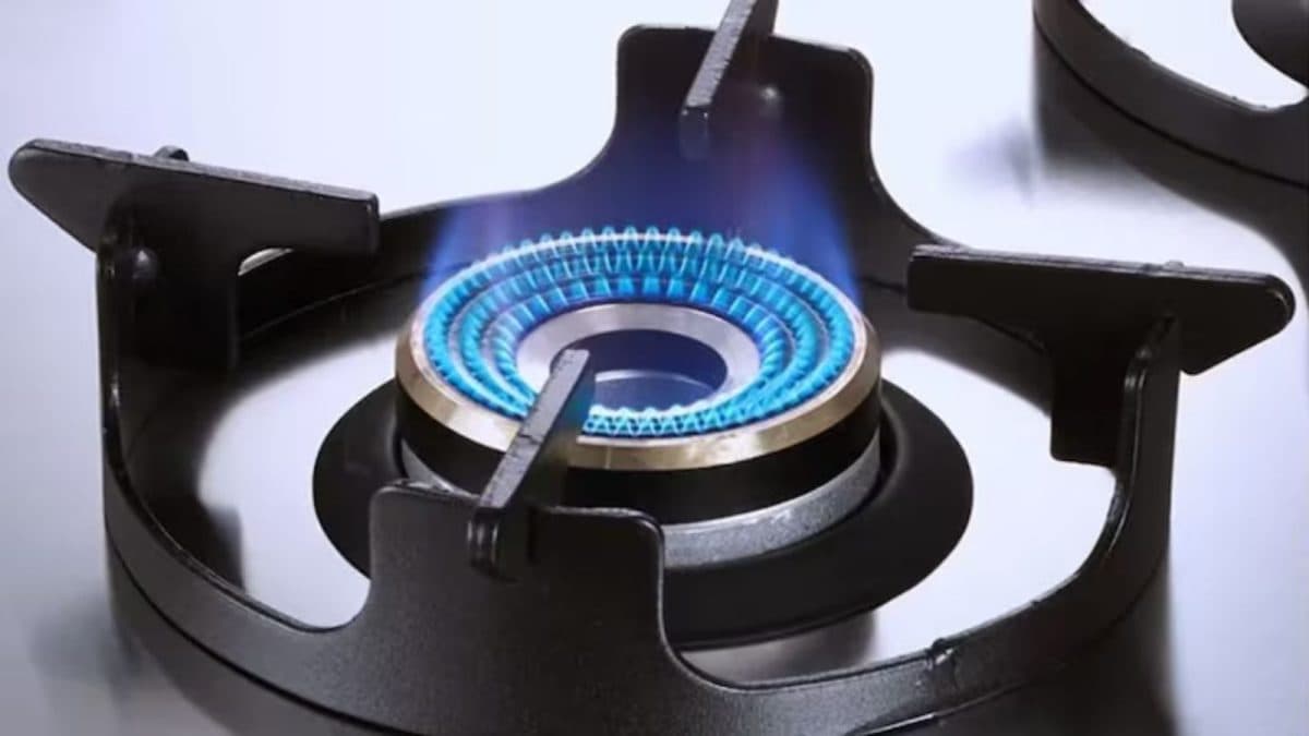 burner 2026 05 30eb94d524d1f54755cb3c3640c35881
