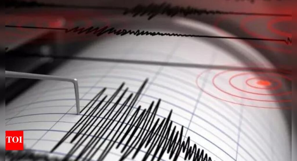 4.5 magnitude earthquake jolts China