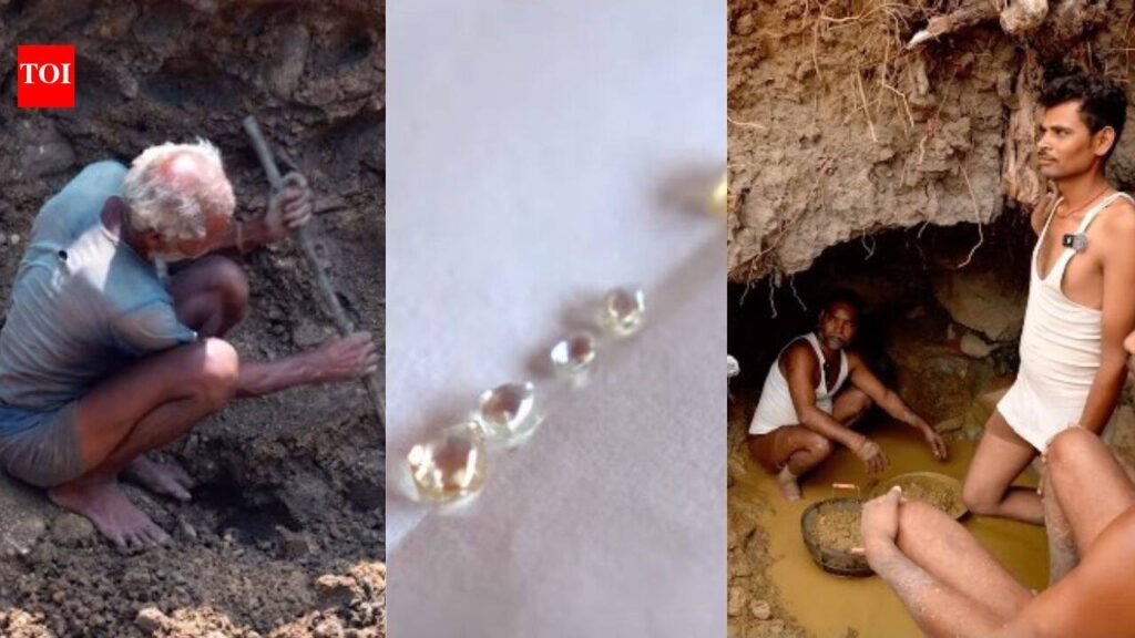 For just ₹200, you can lease a small diamond mine in Panna; some ordinary miners have walked out with gems worth crores and more
