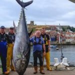 Giant 746lb bluefin tuna caught off Yorkshire coast after nearly 90 years as scientists reveal why species is returning to UK waters near Whitby, where 851lb British record was set in 1933