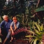 In the 1970s, Pulitzer Prize-winning poet W.S. Merwin and his wife Paula bought a barren piece of land in Hawaii; planting one sapling at a time, they transformed the wasteland into a 19-acre forest with more than 3,000 palms