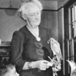 In 1912, a Rhode Island woman began recording every day’s bird sightings on Block Island; she continued for more than 50 years and left behind one of the island’s longest wildlife records