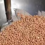 UP panel moots board for grain roasters | Lucknow News