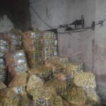 Illegal pan masala-tobacco unit busted; ₹185 crore GST evasion detected in UP | Lucknow News