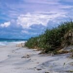 In the early 1960s, developers sold 5,850 lots for a private resort on Assateague Island; one five-day storm wiped out nearly every house and helped turn it into a national seashore