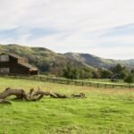 In 1974, the National Park Service bought the Stewart family’s 890-acre California ranch; they negotiated the right to remain and continued ranching there until 2021