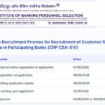 IBPS Clerk Recruitment 2026: Application deadline extended to August 28 for 11,403 posts; check eligibility and fees