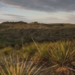 In 1969, a Church’s Fried Chicken co-founder bought 3,000 acres of neglected Texas ranchland; decades of restoration brought long-absent springs and flowing water back