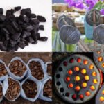 5 practical uses of coconut shell