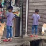 While the world sleeps, this little boy wakes at 6 AM to feed stray dogs: His daily ritual of love, kindness and compassion is melting hearts across the internet