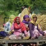 UP government scheme for women facing dowry harassment | Lucknow News