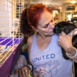She lost a grandson and dozens of guinea pigs in a house fire; today, she runs a Massachusetts sanctuary caring for nearly 400 abandoned guinea pigs | World News