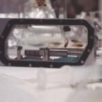 Microgravity: Four medaka fish flew aboard Columbia in 1994 to test whether vertebrates could reproduce without gravity; they laid 43 eggs and eight baby fish hatched in space