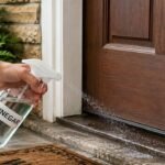 5 reasons why people sprinkle vinegar at their front door and home entrance