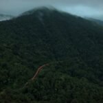 Orange Snake: Vande Bharat turns into an ‘orange snake’ as it winds through misty Western Ghats; breathtaking aerial video goes viral – Watch here