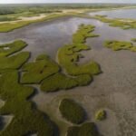In 2014, a Texas coalition bought a 17,351-acre coastal ranch for $37.7 million, much of it using Deepwater Horizon restoration money; 15,000 acres later became a wildlife area protecting wetlands, prairie and endangered whooping crane habitat