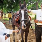 Gallop through history: Horses steal the morning at Colvin College | Lucknow News