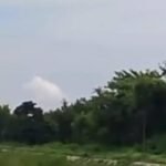 5 elephants stranded in strong river current rescued in Bahraich | Lucknow News