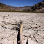 COP17: New global architecture for drought resilience launched at UNCCD meet | India News