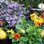 Easy ways to give your garden planters a beautiful fall glow-up: Simple ideas to refresh your outdoor space