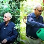 This Delhi man turned his home into a mini orchard with 1,000+ plants, grows 40 varieties of fruit and says he hasn’t bought lemons in years
