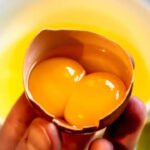 Why do some eggs have double yolks? The science behind it explained