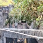 Target to stop flow of untreated sewage into Gomti by 2044 | Lucknow News