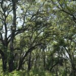 In 2005, a couple bought a 2,300-acre Napa ranch for $8 million; after a 17-year battle over plans for vineyards, the land was bought for $24 million and is becoming a public preserve