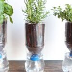 Don’t throw away your empty plastic bottles: turn one into a simple self-watering planter at home and keep your plants hydrated with this easy DIY trick